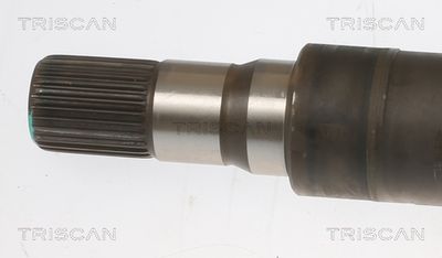 PLANETARA TRISCAN 854016640 1