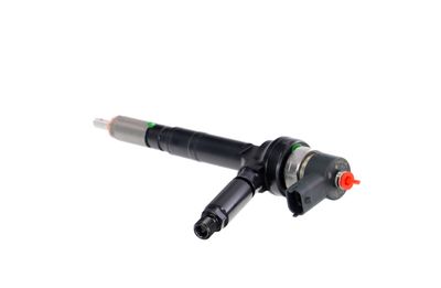 INJECTOR REMANTE 002003001094R 19