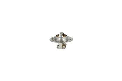 TERMOSTAT LICHID RACIRE NRF 725156 38