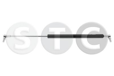 GASFEDER KOFFER-/LADERAUM STC T446626