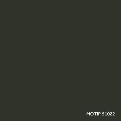 MOTIP CAR COLOR LAKIER 400ML