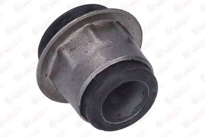 SUPORT TRAPEZ BIRTH 2008 6