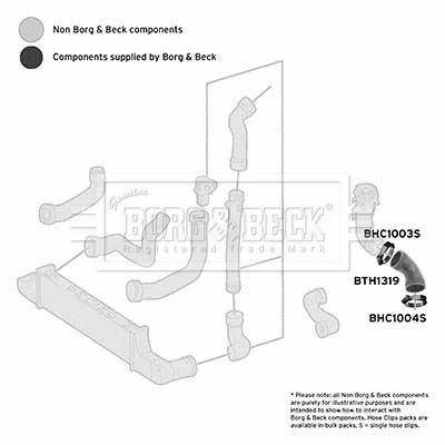 Charge Air Hose Borg & Beck BTH1319