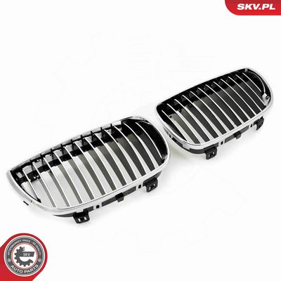 GRILA RADIATOR ESEN SKV 66SKV004 1