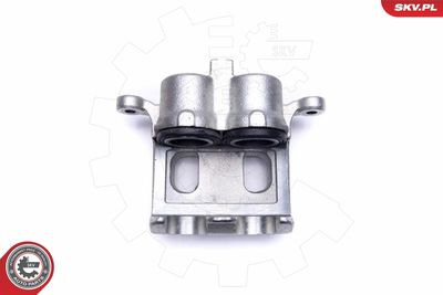 Brake Caliper 55SKV011