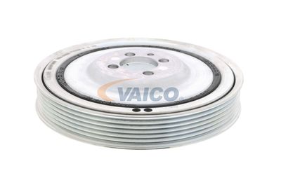 SET FULIE ARBORE COTIT VAICO V240865 40