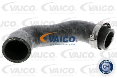 Трубка нагнетаемого воздуха VAICO V21-0028 для RENAULT LOGAN