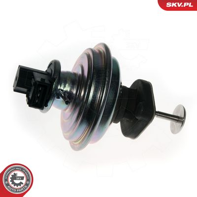 AGR-Ventil ESEN SKV 14SKV078