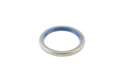 Dichtring