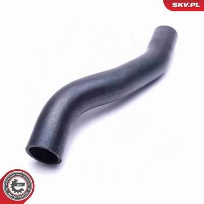 FURTUN EAR SUPRAALIMENTARE ESEN SKV 54SKV088 2