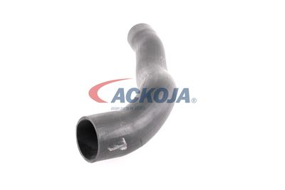FURTUN EAR SUPRAALIMENTARE ACKOJA A379600 24