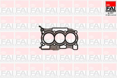гарнитура, цилиндрова глава FAI AutoParts HG2261