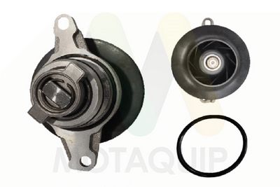 POMPă DE APă RăCIRE MOTOR