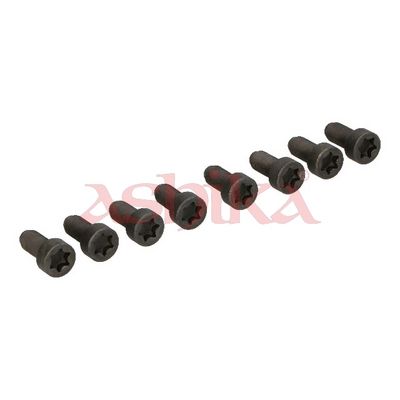 ASHIKA Schraube, Zahnkranzträger-Schwungrad