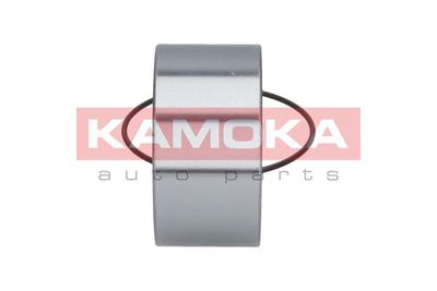 Wheel Bearing Kit 5600006