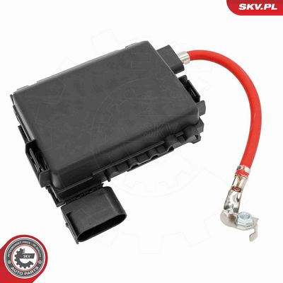 CUTIE CU SIGURANTE ESEN SKV 96SKV325 1