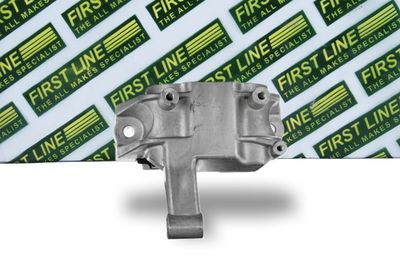 окачване, двигател FIRST LINE FEM4336