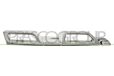 ZIER-/SCHUTZLEISTE KüHLERGITTER