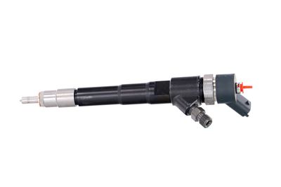INJECTOR REMANTE 002003000156R 12