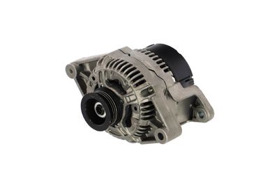 GENERATOR / ALTERNATOR REMANTE 011003000220R 7