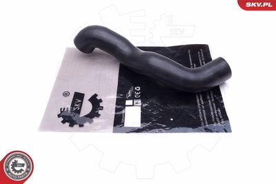 FURTUN EAR SUPRAALIMENTARE