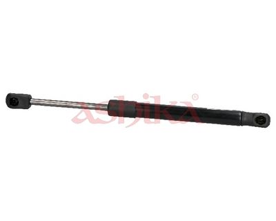 ZSA02090