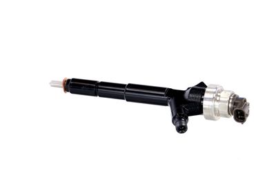 INJECTOR REMANTE 002003000192R 15