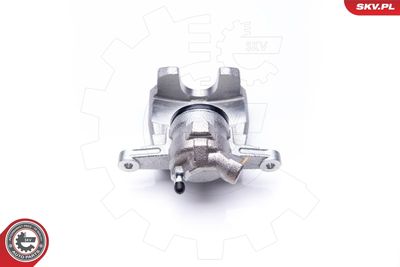 Brake Caliper 34SKV533