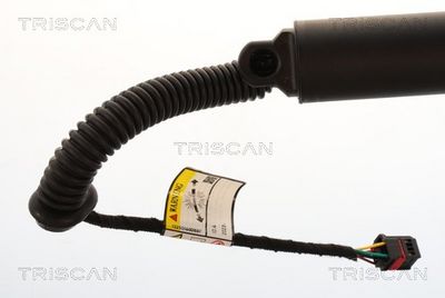 AMORTIZOR PORTBAGAJ TRISCAN 871029343 1