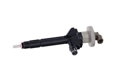 INJECTOR REMANTE 002003000191R 9
