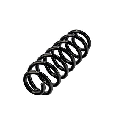 ARC SPIRAL EIBACH R13607 3