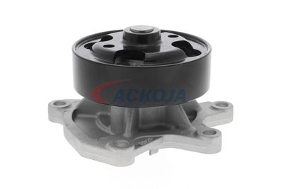 POMPă DE APă RăCIRE MOTOR ACKOJA A380701 49