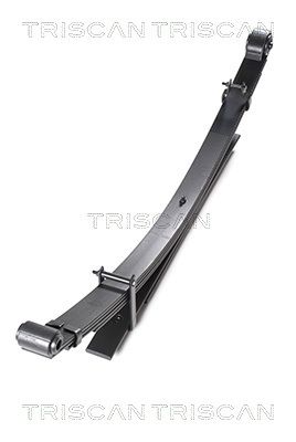 TRISCAN Federnpaket