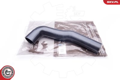 FURTUN EAR SUPRAALIMENTARE