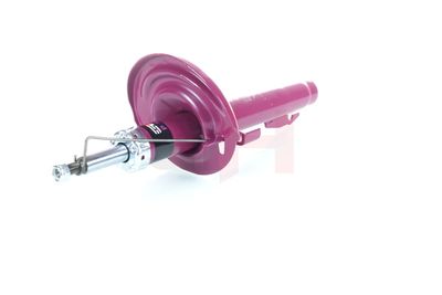 AMORTIZOR GH GH353955 11