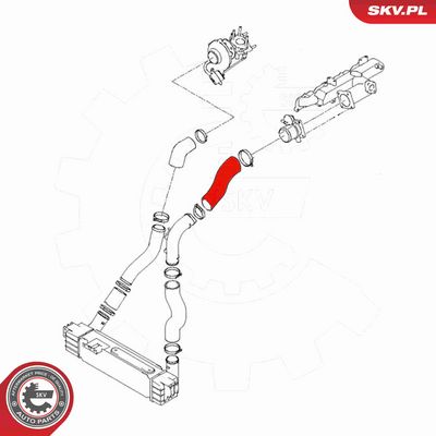 FURTUN EAR SUPRAALIMENTARE ESEN SKV 54SKV060 3