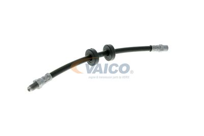 FURTUN FRANA VAICO V101043 54