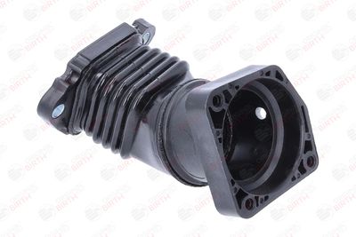FURTUN EAR SUPRAALIMENTARE BIRTH 55678 1
