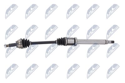 PLANETARA NTY NPWFR028 23