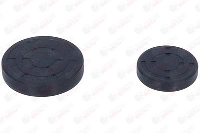 CHIT LANT DE DISTRIBUTIE BIRTH 6501 1