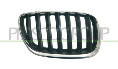 PRASCO BM8202023 Решетка радиатора  для BMW X5 (Бмв X5)