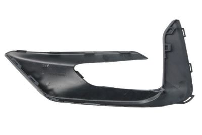 Grillestrip vooraan Voor Rechts (Bodem, voor het schilderen, ST) past: FORD PUMA 2 09.19-01.24