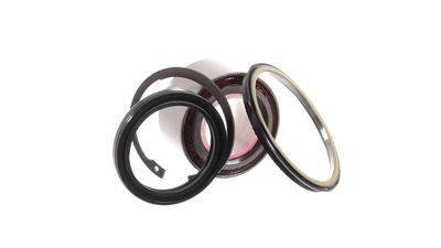 SET RULMENT ROATA SKF VKBA3219 22