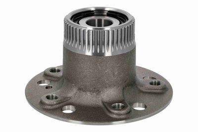 RADNABE VAICO V303300