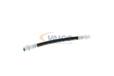 FURTUN FRANA VAICO V404114 56