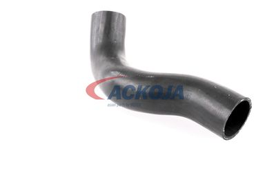 FURTUN EAR SUPRAALIMENTARE ACKOJA A380307 42