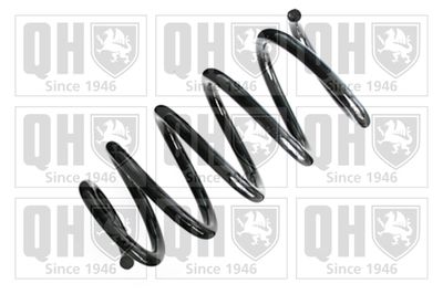 QUINTON HAZELL QCS8405 Пружина подвески  для FIAT (Фиат)