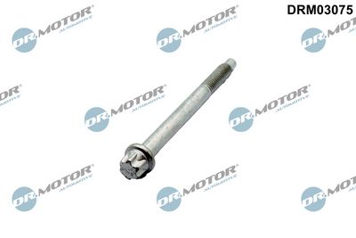 Śruba, wtryskiwacz DR.MOTOR AUTOMOTIVE DRM03075