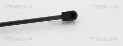 AMORTIZOR PORTBAGAJ TRISCAN 871068213 2