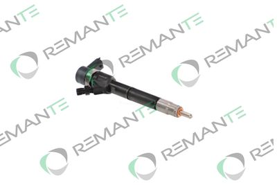INJECTOR REMANTE 002003001713R 3